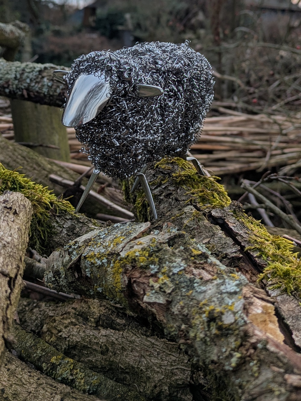 Schaf EdelLocke