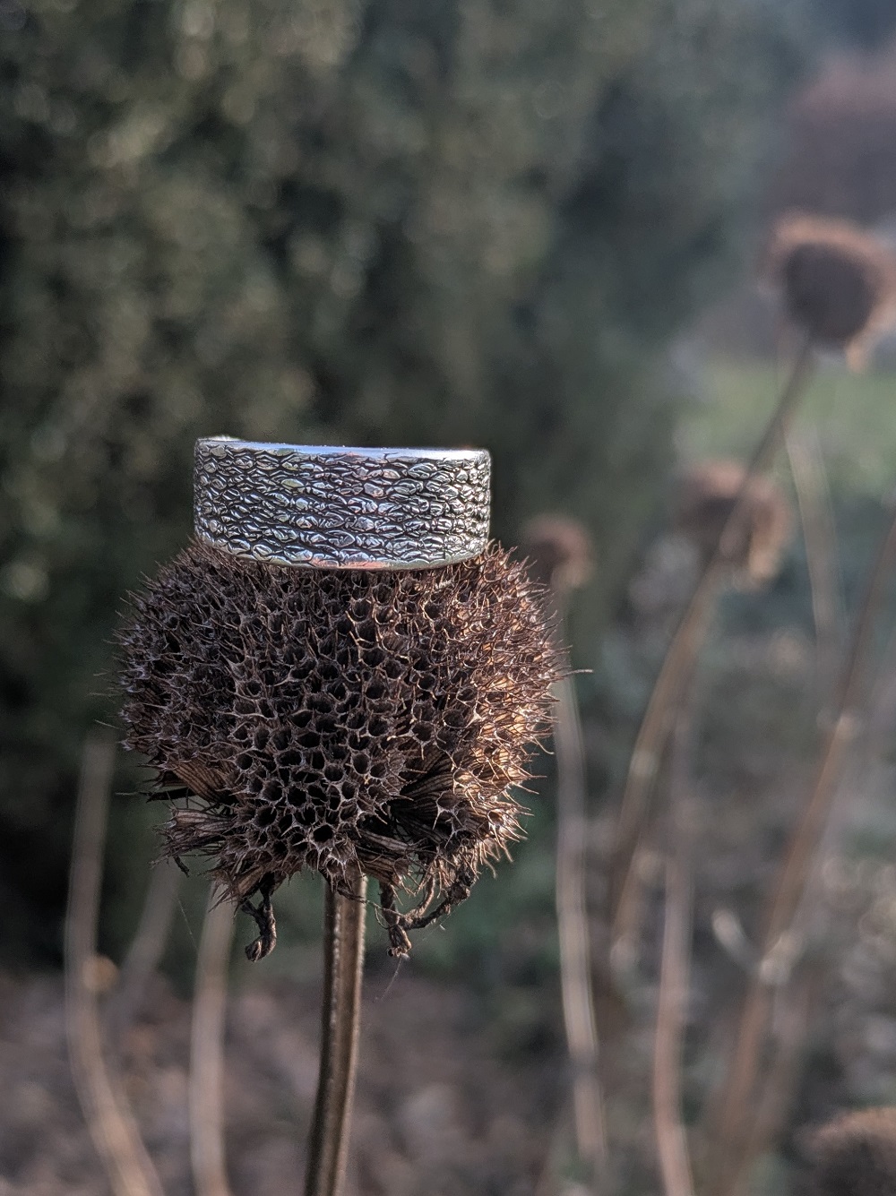 Ring versilbert mit Struktur